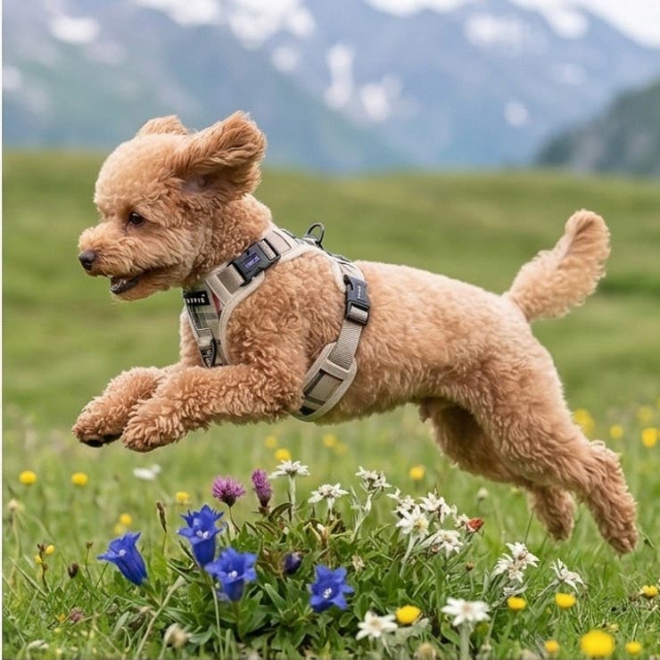 犬 ハーネス ソフト | K-city | 詳細画像3 