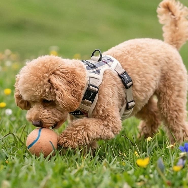 犬 ハーネス ソフト | K-city | 詳細画像4 