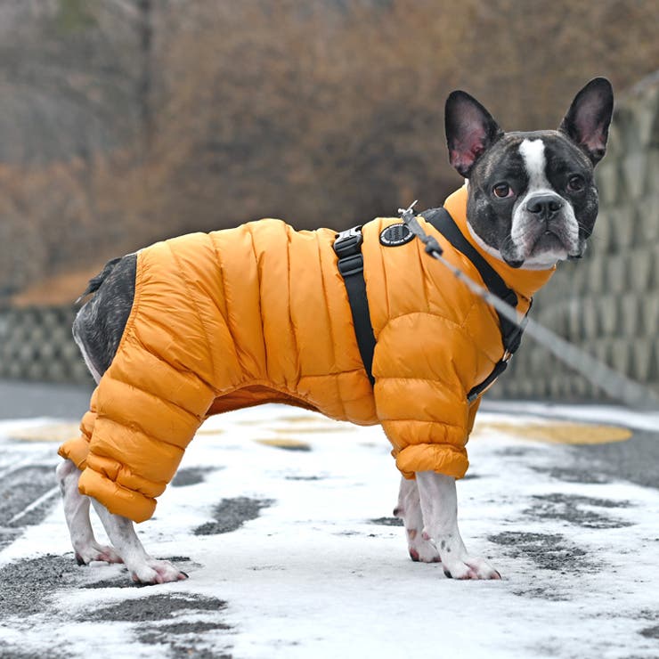 犬 服 犬服 | K-city | 詳細画像5 