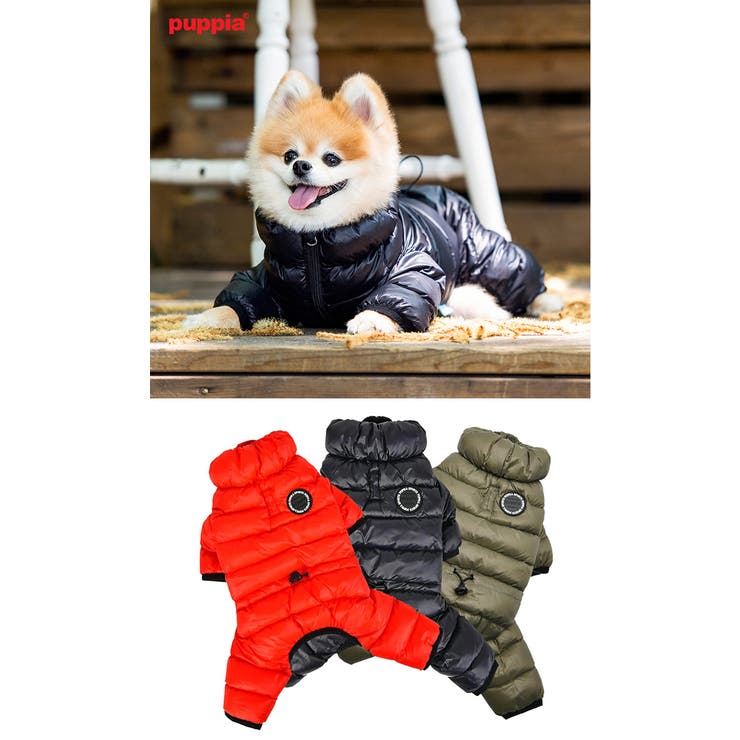 犬 服 犬服[品番：NX000007075]｜K-city（ケイシティ）のファッション通販｜SHOPLIST（ショップリスト）