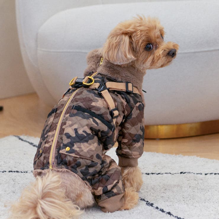 楽天市場】【 ワンピース 犬 服 】iDog 小花柄フリル付きタンク
