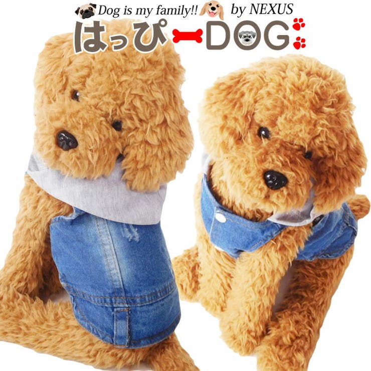 犬 服 犬服 | K-city | 詳細画像1 