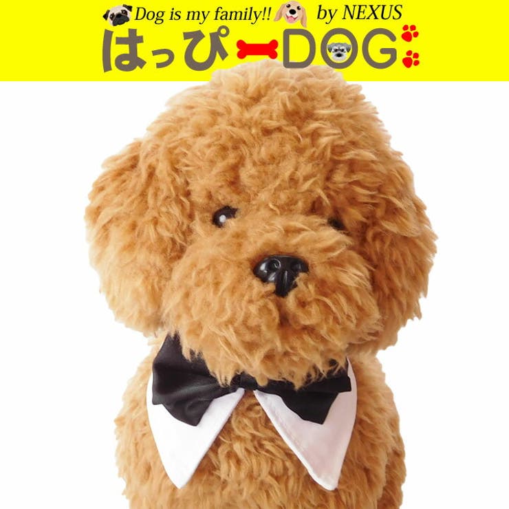 犬 服 犬服 品番 Nx K City ケイシティ のレディースファッション通販 Shoplist ショップリスト 犬 服 犬服 品番 Nx K City ケイシティ のレディースファッション通販 Shoplist ショップリスト