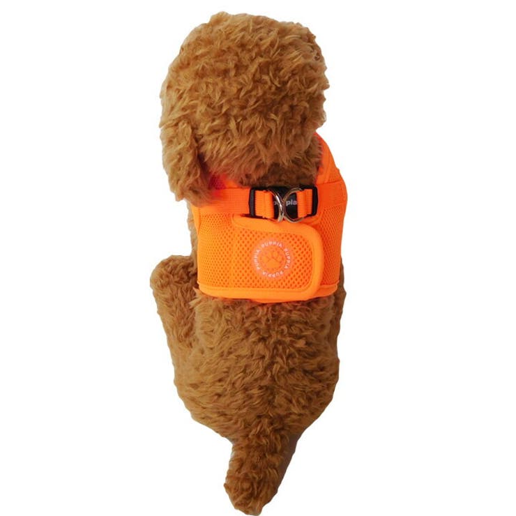 PUPPIA パピア 正規品 | K-city | 詳細画像3 