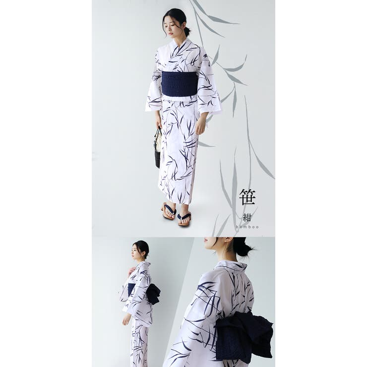 糸菊
