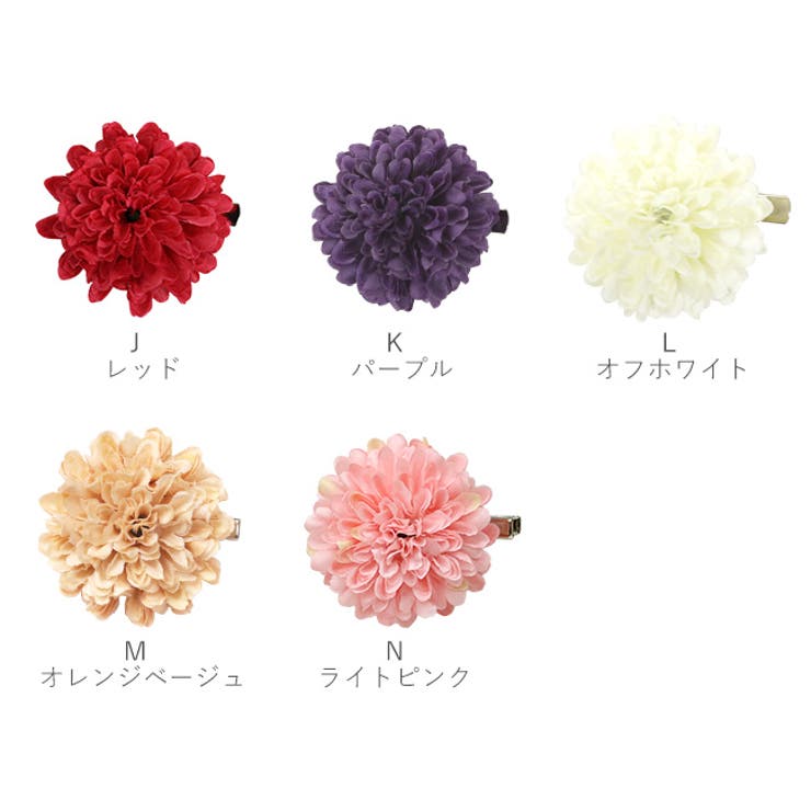 全14色