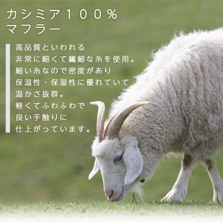 カシミヤ