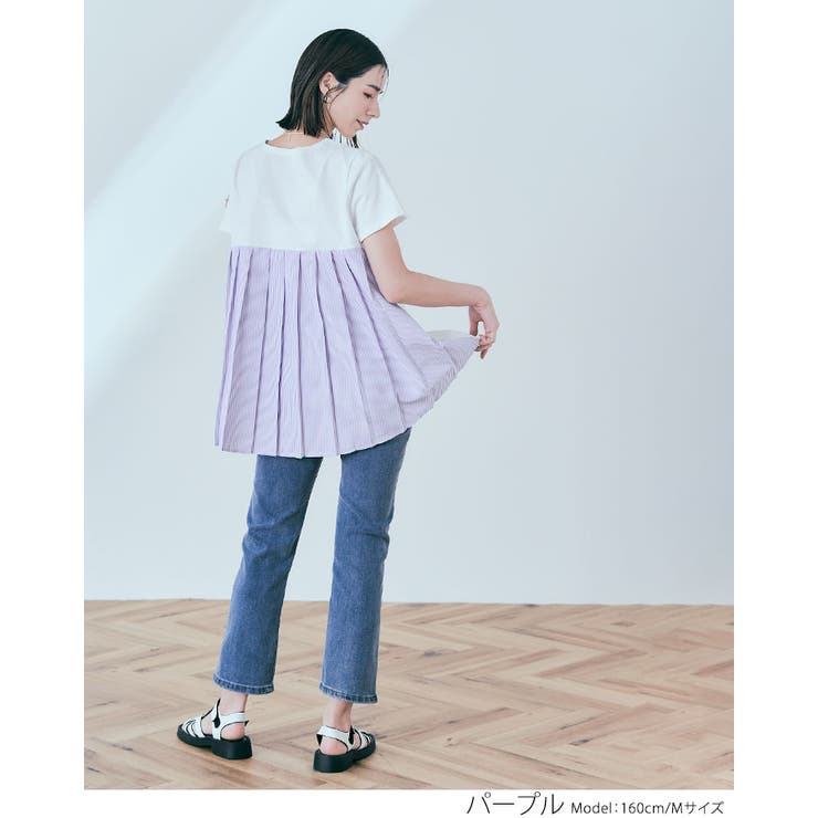 バックプリーツコットンTシャツ 2サイズ トップス[品番