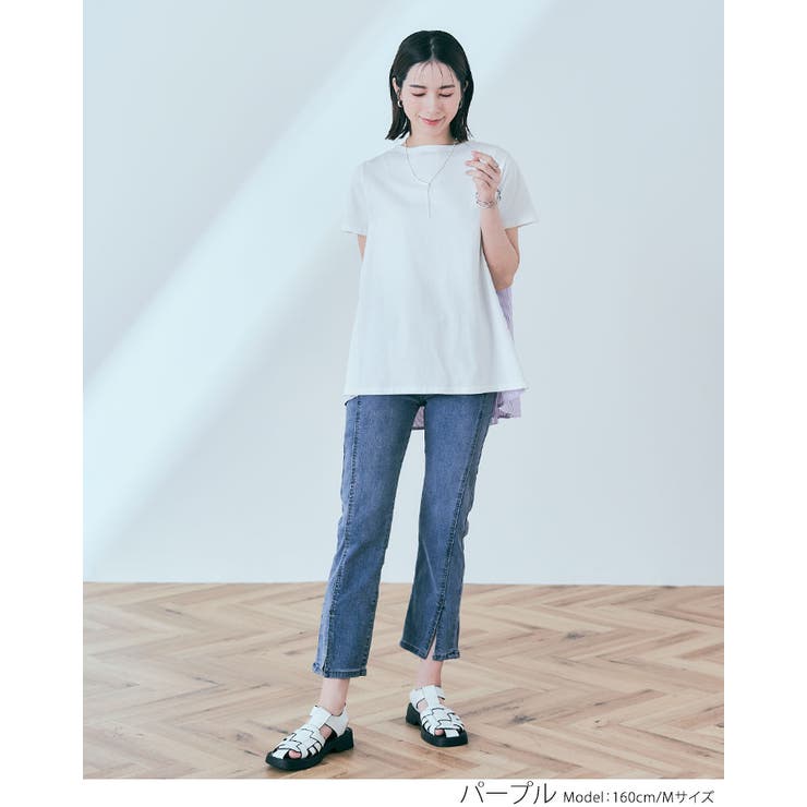 バックプリーツコットンTシャツ 2サイズ トップス[品番