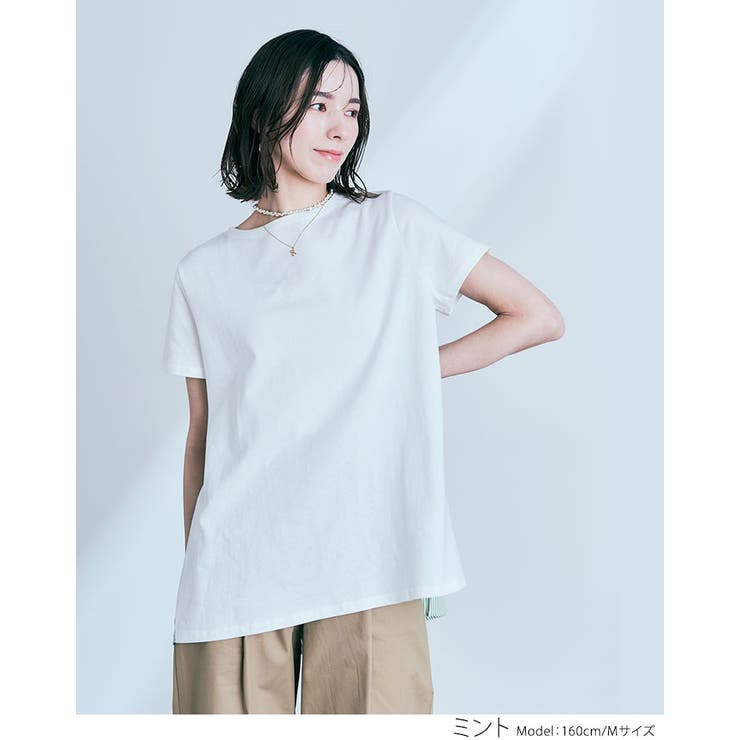 バックプリーツコットンTシャツ 2サイズ トップス[品番