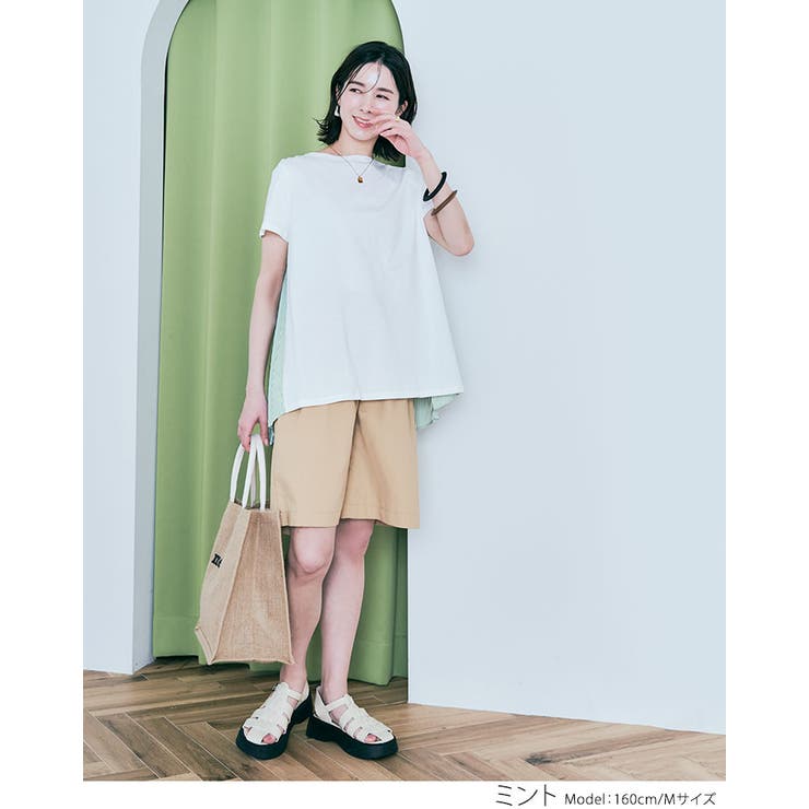 バックプリーツコットンTシャツ 2サイズ トップス[品番