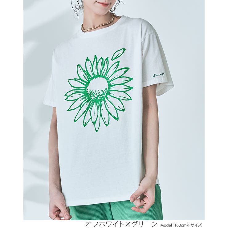 トップス keeisukee ANTIQUA GOLF×STCH トップス レディース 送料無料・(500)メール