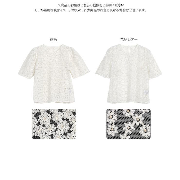 花柄刺繍シアーボリューミーブブラウス［C7523］