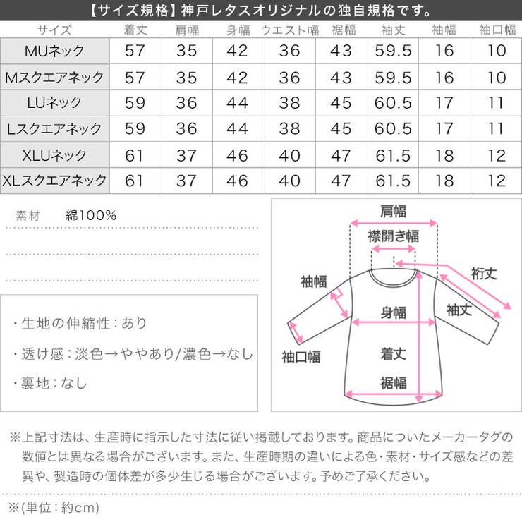 [ M L | KOBE LETTUCE | 詳細画像22 