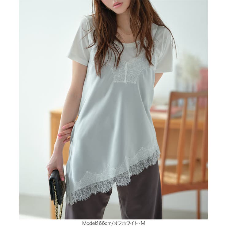 [ M L | KOBE LETTUCE | 詳細画像13 