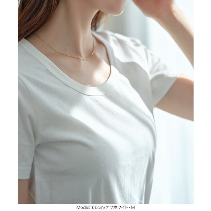 [ M L | KOBE LETTUCE | 詳細画像10 