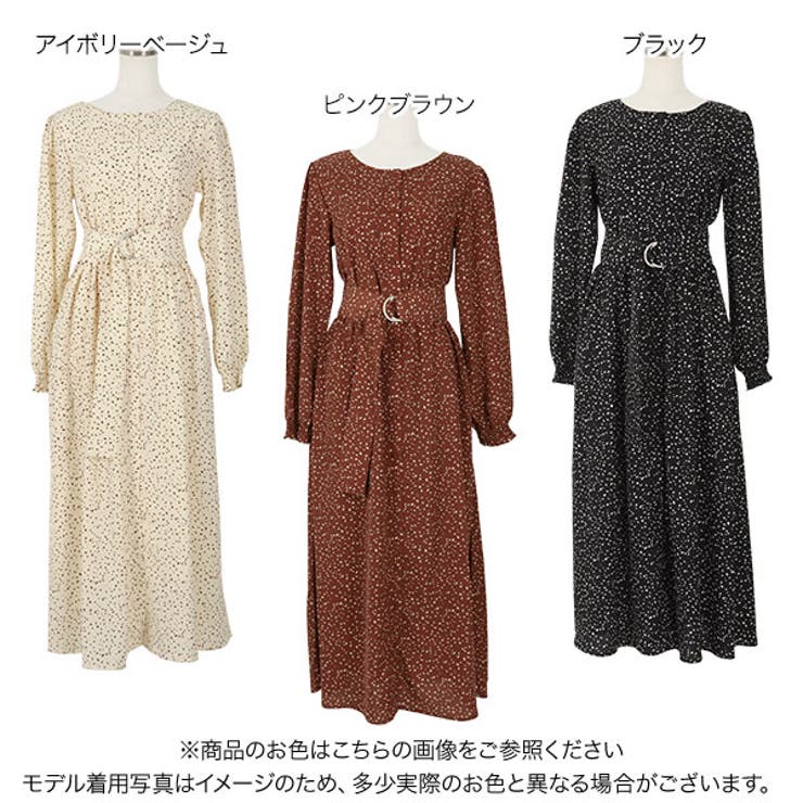 [ レタコラ ] | KOBE LETTUCE | 詳細画像2 