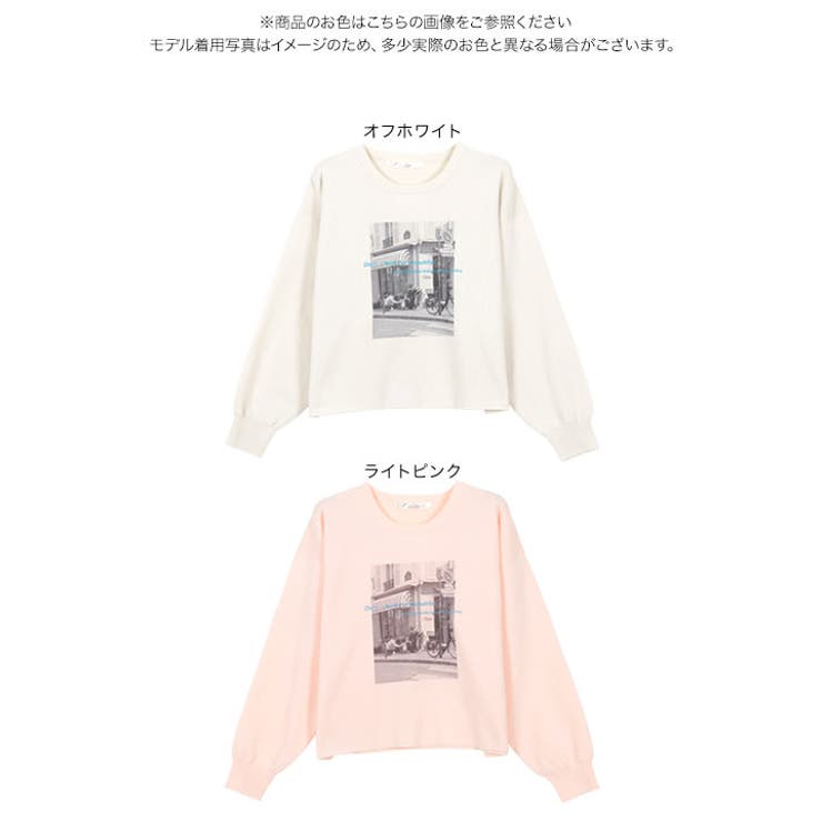 フォトプリントニットプルオーバー［N1135］ | KOBE LETTUCE | 詳細画像9 