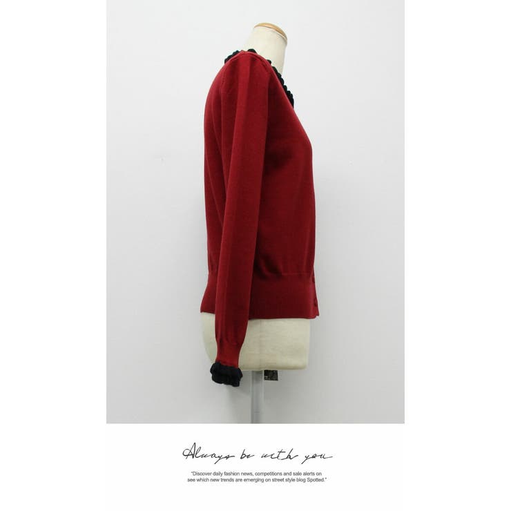 トップス レディース カーディガン | LATTE | 詳細画像3 