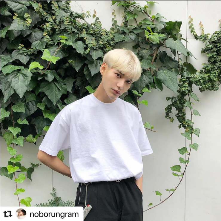 latteto ピグメントダイ グラフィックT | lattelatte | 詳細画像6 