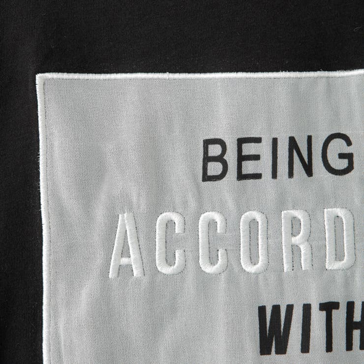 シフォンワッペンロゴプリントTシャツ | LAYLA | 詳細画像10 