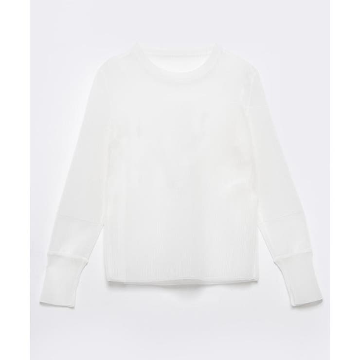 シアーナイロンカットソー[品番：LAVW0019403]｜LANVIN
