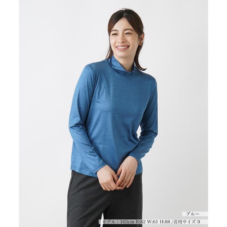 最新最全のをすべて シルクハイネックカットソー[品番：LAVW0017401]｜Leilian トップス
