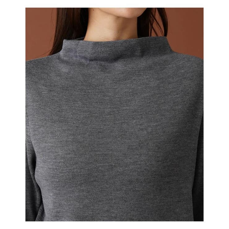 ハイネックニット[品番：LAVW0012489]｜Leilian PLUS HOUSE（レリアン