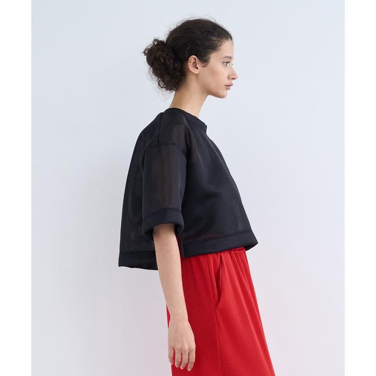 2024-25AW　ランバンオンブルー　クロップドカットソー　ダンボール　ポンチ 2024-25AW ランバンオンブルー クロップドカットソー ダンボール