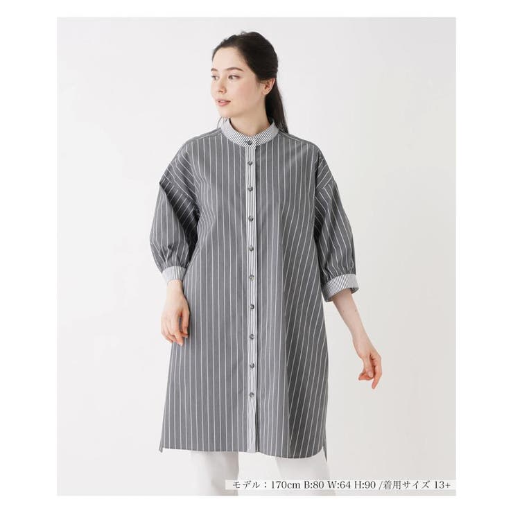 チャコール | ストライプ切替チュニックブラウス | Leilian PLUS HOUSE