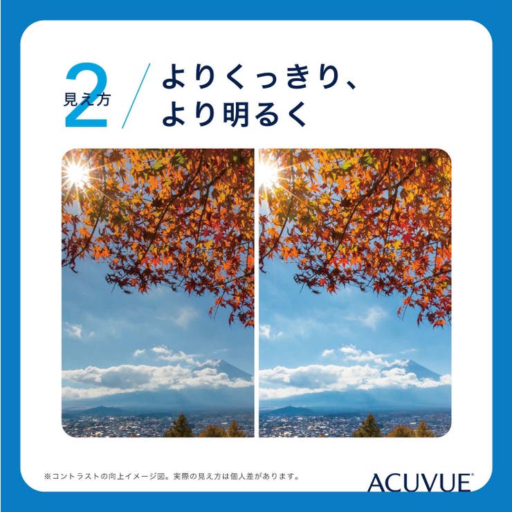 ワンデーアキュビューオアシス 90枚パック ジョンソン | LENS APPLE | 詳細画像5 