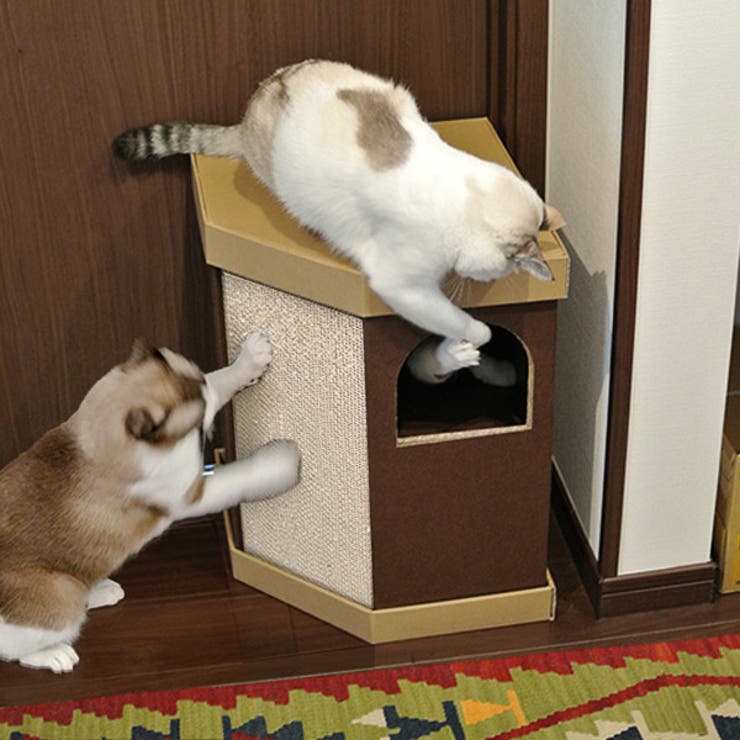 キャットハウス 2階建て またたび | livingut | 詳細画像1 