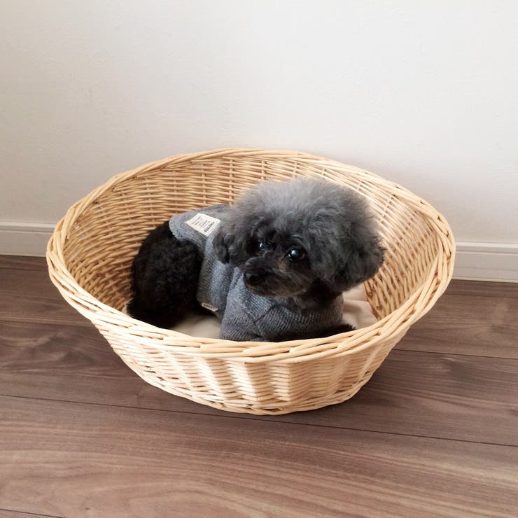 ペットベッド ウイローペットバスケット クッション付き | livingut | 詳細画像6 