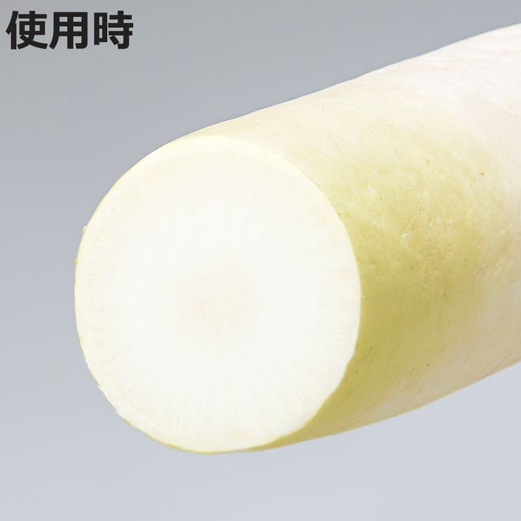 Vegista ベジシャキ ダイちゃん | livingut | 詳細画像9 