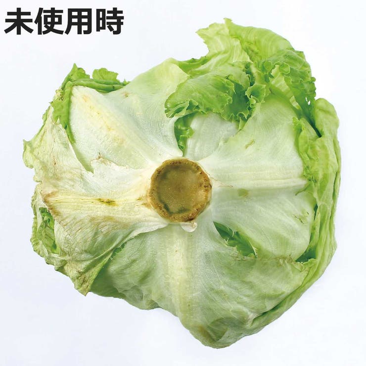 Vegista ベジシャキちゃん 2個組 | livingut | 詳細画像9 