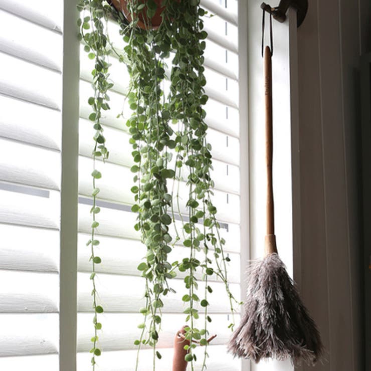 はたき ダルトン DULTON | livingut | 詳細画像2 