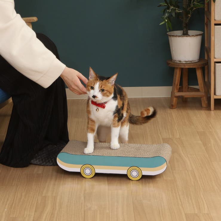 爪とぎ 猫の爪とぎ スケボー | livingut | 詳細画像14 