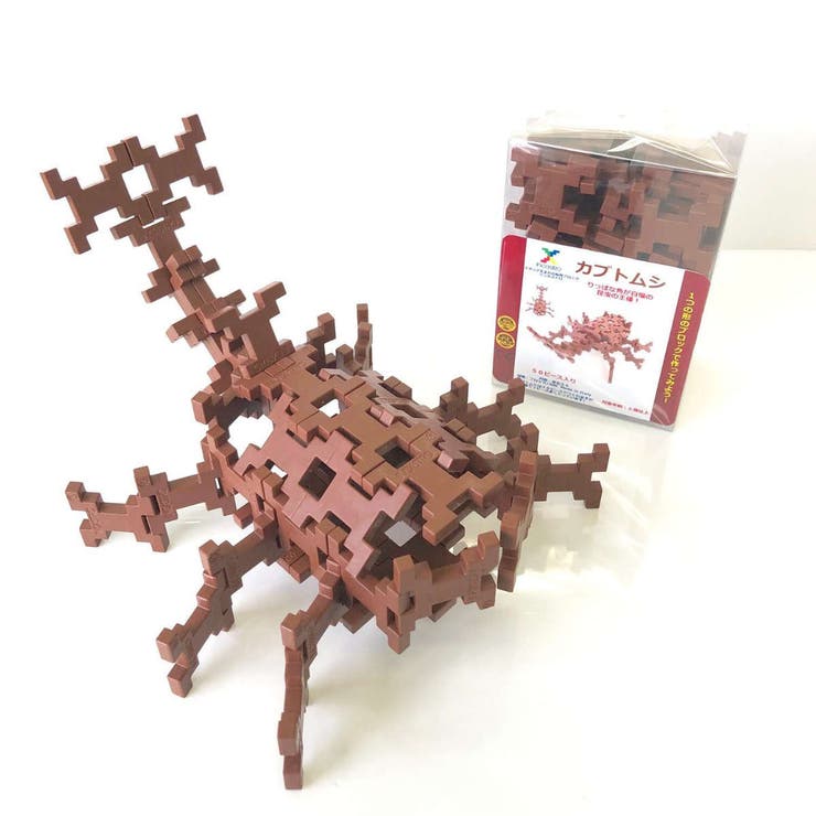 知育玩具 インカストロ カブトムシ | livingut | 詳細画像4 