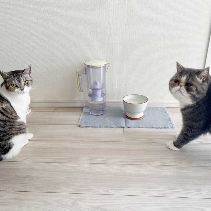 まるっと軟水大容量 750ml 犬猫用 | livingut | 詳細画像3 