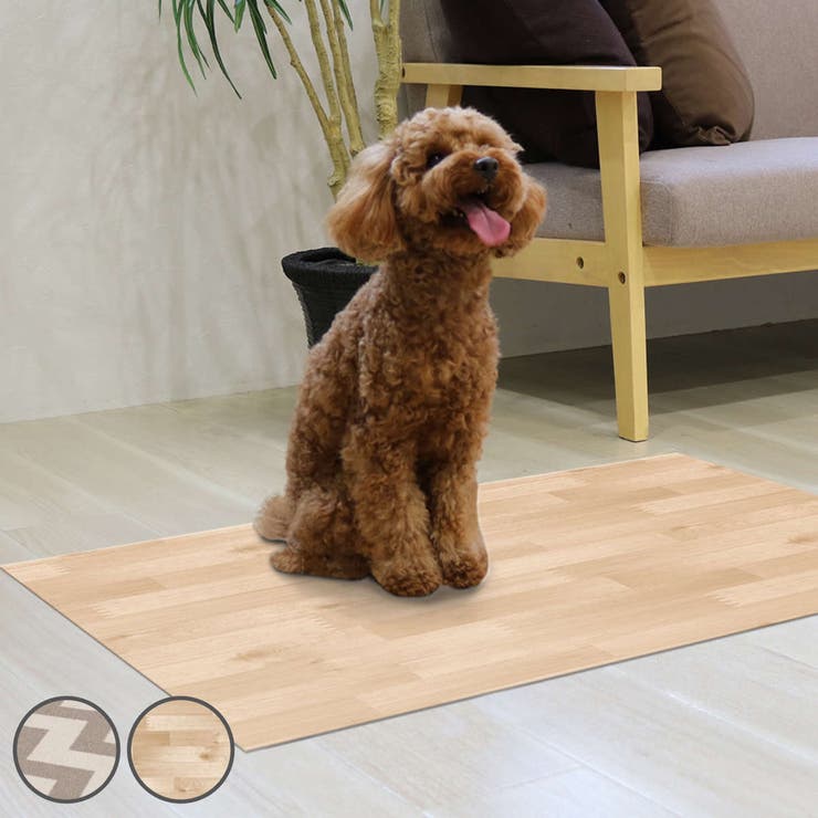 ペット用消臭防水シート 60cm×90cm ペット | livingut | 詳細画像1 