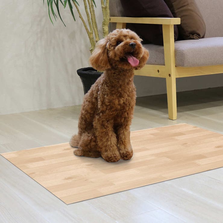 ペット用消臭防水シート 60cm×90cm ペット | livingut | 詳細画像11 