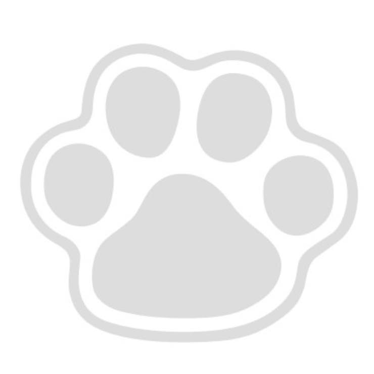 フードボウル MiyaWan HORO | livingut | 詳細画像7 