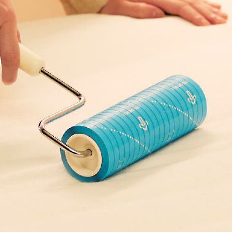 スペアのみ スペアテープ コロコロ | livingut | 詳細画像2 