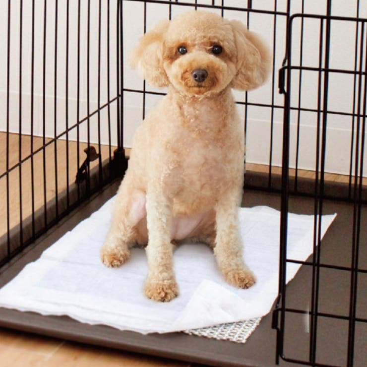 滑り止め スベラックスペット ペットシーツ | livingut | 詳細画像5 