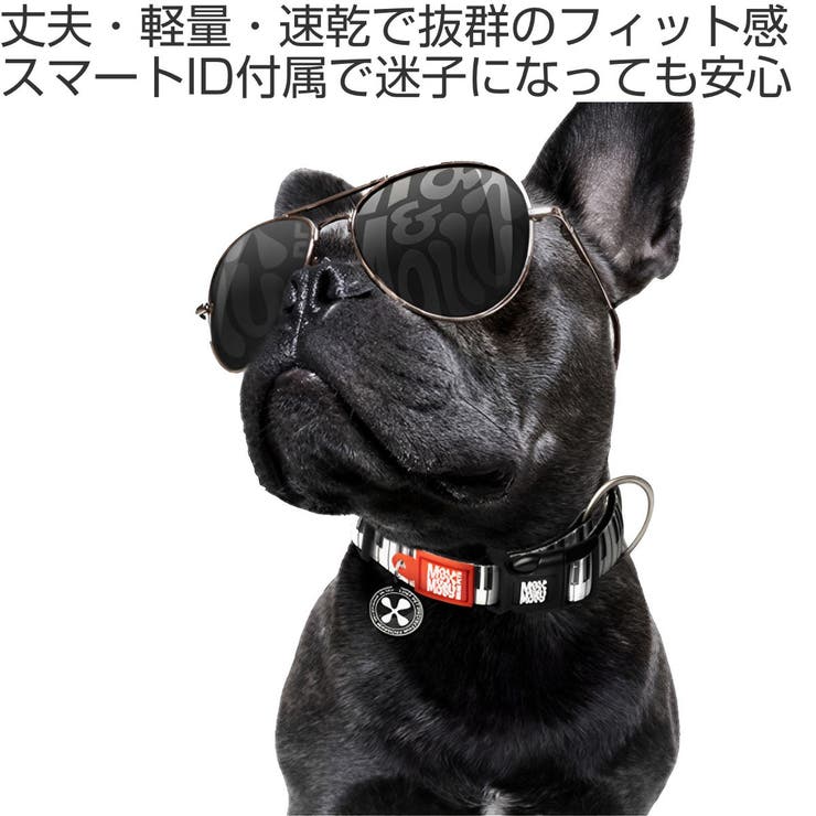 首輪 小型犬 XS | livingut | 詳細画像2 
