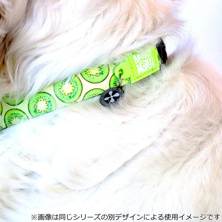 首輪 小型犬 XS | livingut | 詳細画像5 