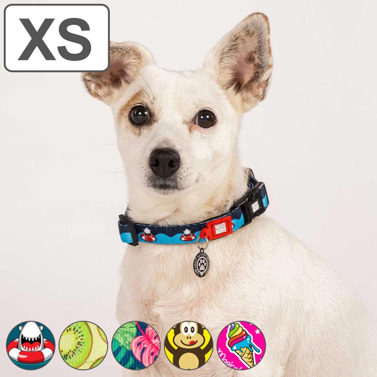 首輪 小型犬 XS | livingut | 詳細画像1 