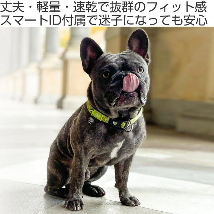 首輪 小型犬 XS | livingut | 詳細画像2 