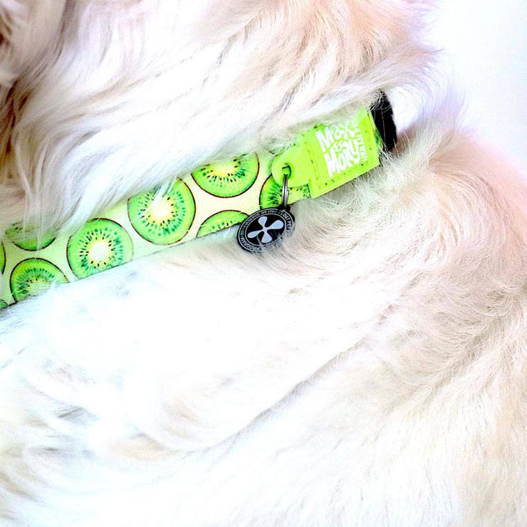 首輪 小型犬 XS | livingut | 詳細画像6 