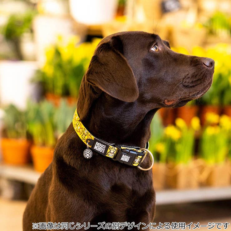 首輪 大型犬 L